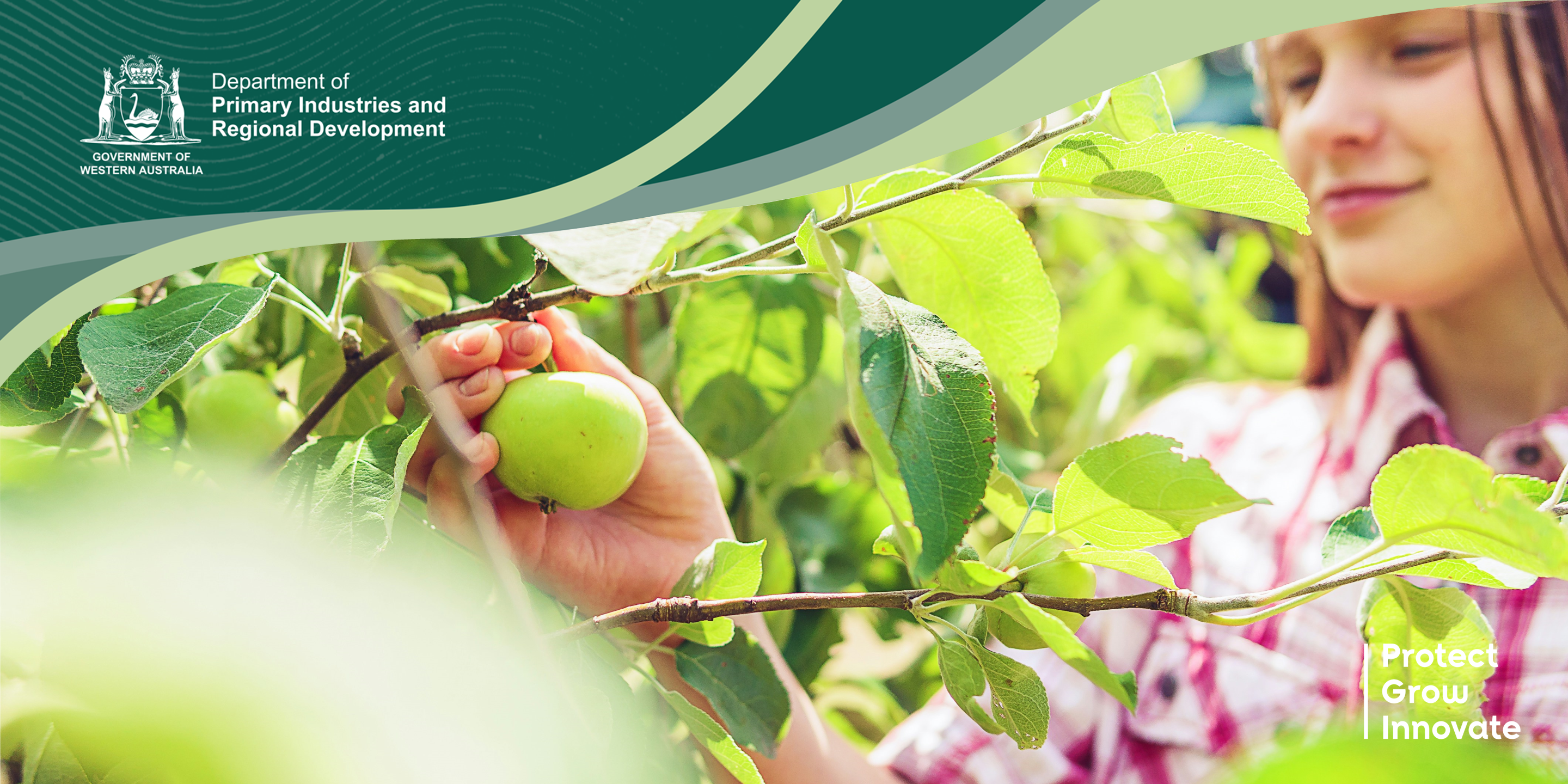 Western Australian Horticulture Update