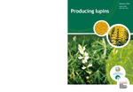 Producing lupins by Peter White, Bob French, Amelia McLarty, and Grains Research and Development Corporation