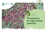 Phosphorus for high rainfall pastures