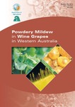 Powdery mildew in wine grapes in Western Australia by Diana Fisher and Trevor Wicks Dr