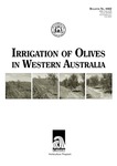 Irrigation of olives in Western Australia by Neil Lantzke and Dick Taylor