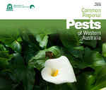 Common regional pests of Western Australia