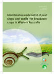 Identification and control of pest slugs and snails for broadacre crops in Western Australia by Svetlana Micic, Ken Henry, and Paul Horne