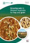 Growing oats in Western Australia for hay and grain by Raj Malik, Blakely Paynter, Cindy Webster, and Amelia McLarty