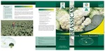 Brassicas from Western Australia at a glance