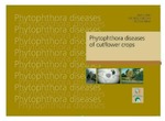 Phytophthora diseases of cutflower crops