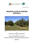 Growing olives in Western Australia