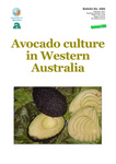 Avocado culture in Western Australia