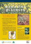 Managing Blackleg : A grower's guide to minimising risk from Blackleg disease of canola in Western Australia by Department of Agriculture and Food, Western Australia