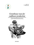 Greenhouse roses for cutflower production by Aileen Reid