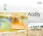 Subsurface acidity