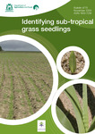 Identifying sub-tropical grass seedlings by Brad Wintle, Geoff Moore, and Phil Nichols