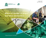 Effect of smoke in grape and wine production