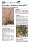 Skeleton weed - best practice management guidelines for cropping programs