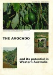 The Avocado and its potential in Western Australia