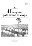 Honeybee pollination of crops