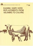 Raising dairy herd replacements from weaning to calving