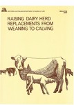 Raising dairy herd replacements from weaning to calving by R Bettenay