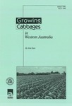 Growing Cabbages in Western Australia