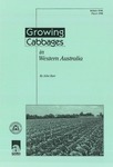 Growing Cabbages in Western Australia by John Burt