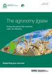 The agronomy jigsaw: Finding the pieces that maximise water use efficiency