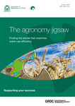 The agronomy jigsaw: Finding the pieces that maximise water use efficiency