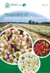 Production of premium waxflowers by Kevin Seaton and Nikki Poulish