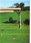 Bulletin 4133 - Fungal diseases of pasture legumes in Western Australia by M. J. Barbetti