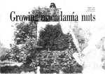 Bulletin 4267 - Growing macadamia nuts by John Dick and Alec McCarthy