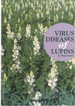 Bulletin 4294 - Virus diseases of Lupins by Roger Jones