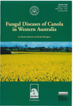 Bulletin 4406a - Fungal diseases of canola in Western Australia by Martin Barbetti and Ravjit Khangura
