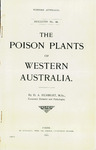 Bulletin No 69 - The Poison plants of Western Australia