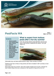 PestFacts WA Issue 01 - April 2022 by Cindy L. Webster, Svetlana Micic, Saleh Adnan, Janette Pratt, Jean Galloway, Adam H. Sparks, and Jeff Russell