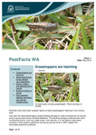 PestFacts WA Issue 04 - May 2022 by Svetlana Micic, Benjamin S. Congdon, Cindy L. Webster, Andrea Hills, and Ravjit Khangura