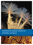 Fisheries Occasional Publication No.057 - Introduced Marine Species in Western Australia by Department of Fisheries Western Australia