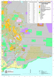 Western Australia Pastoral Land Tenure - Goldfields - Nullarbor Region by Department of Agriculture and Food, WA