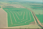 Aerial view of alley farming, west Midlands, Western Australia