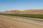 A river bed in rural Western Australia